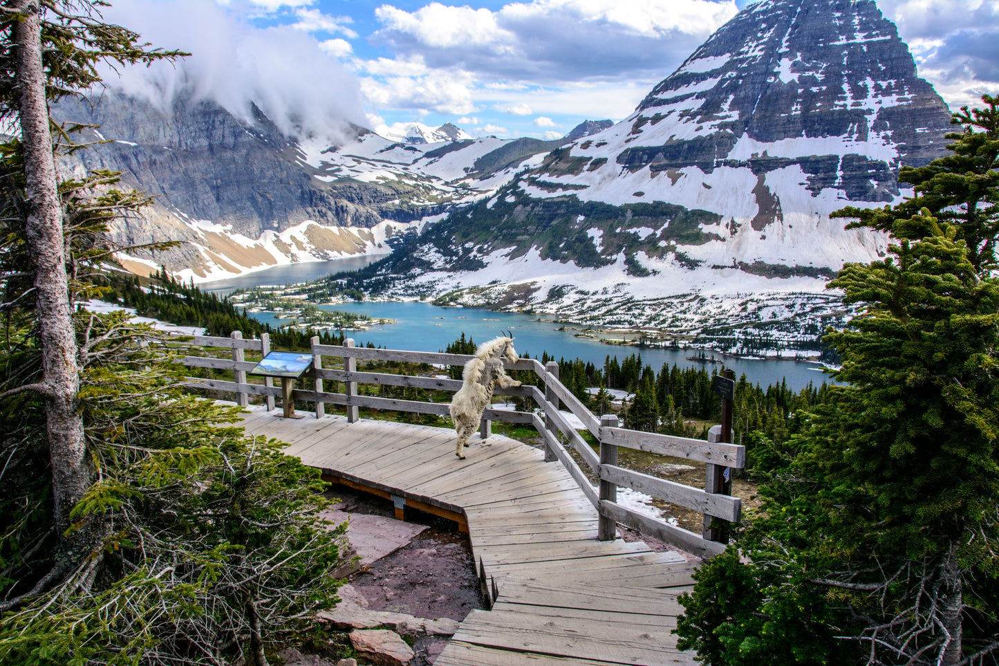 Glacier National Park Jigsaw Puzzle