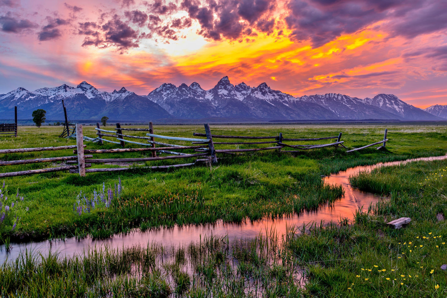 Grand Teton National Park Jigsaw Puzzle